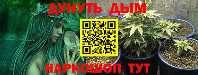 spice Обь